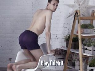 PlayfulMrR