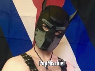 PupMischief