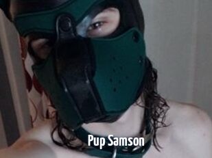 Pup_Samson