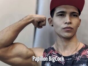 Papillon_BigCock