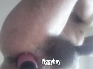 Piggyboy