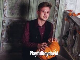 Playfulboydavid