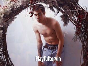 Playfultorvin