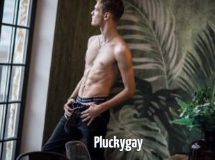 Pluckygay