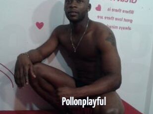 Pollonplayful