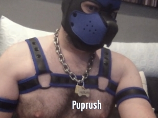 Puprush