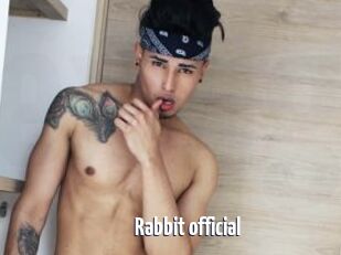 Rabbit_official