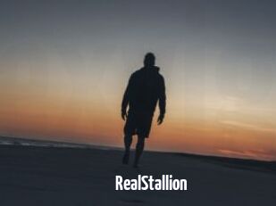 RealStallion