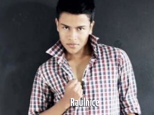 Raulnice