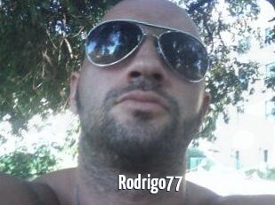 Rodrigo77