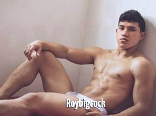 Roybigcock