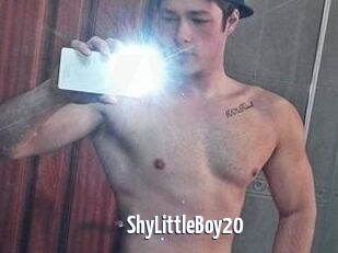 ShyLittleBoy20