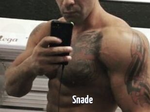 Snade