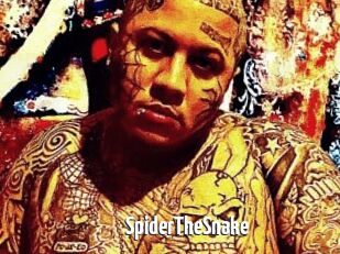 SpiderTheSnake