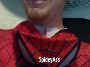 SpideyAss