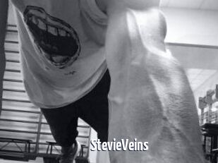 StevieVeins