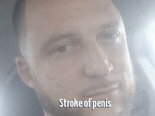 Stroke_of_penis