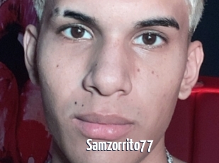 Samzorrito77