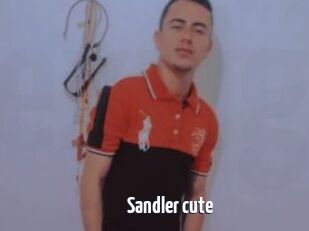 Sandler_cute