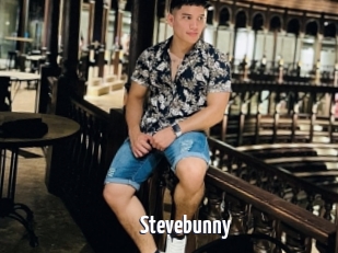 Stevebunny