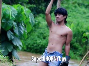 SuperbHORNYboy