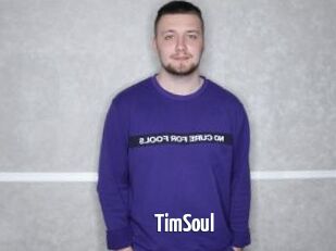 TimSoul