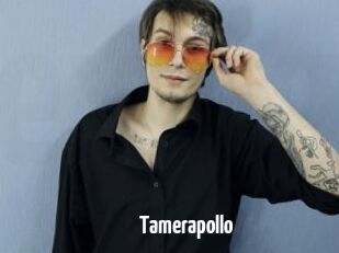 Tamerapollo