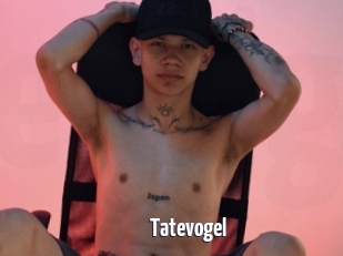 Tatevogel