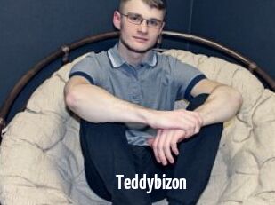 Teddybizon