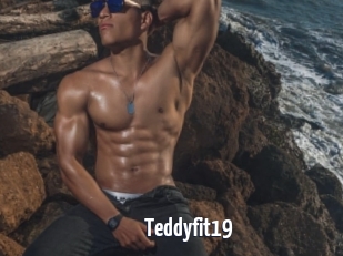 Teddyfit19