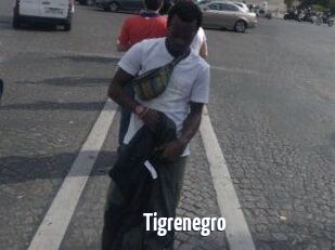 Tigrenegro