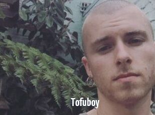 Tofu_boy