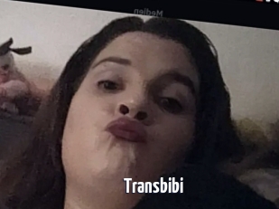 Transbibi