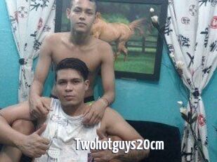 Twohotguys20cm