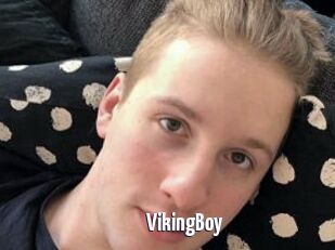 VikingBoy