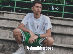 Velamikbarbosa