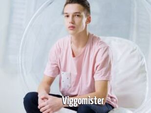 Viggomister