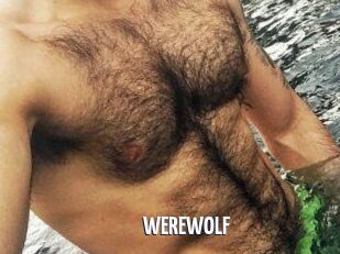 WEREWOLF