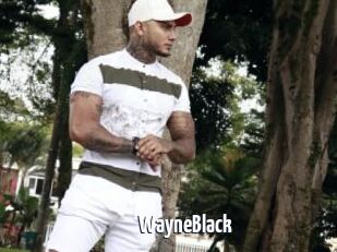 WayneBlack