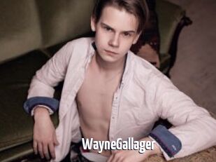 WayneGallager