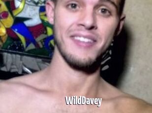 WildDavey