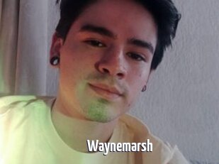 Waynemarsh