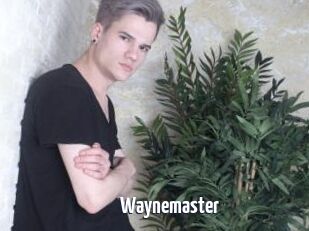 Waynemaster