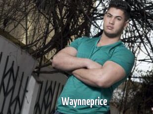 Waynneprice