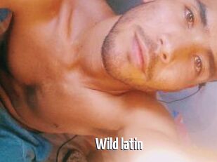 Wild_latin