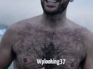 Wplooking37