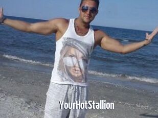 YourHotStallion