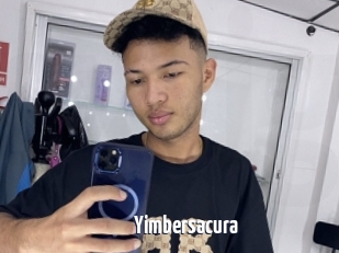 Yimbersacura