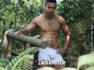 ZackXMuscle