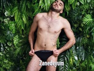 Zanedeyum